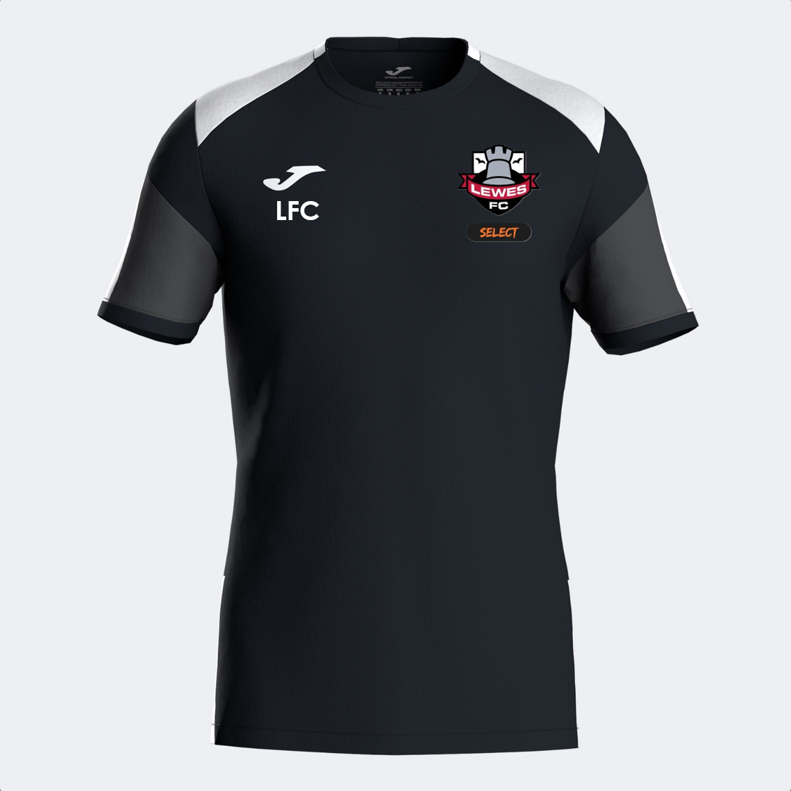 Lewes FC Select Coaches Tee Black/White Adult (Danubio 4)