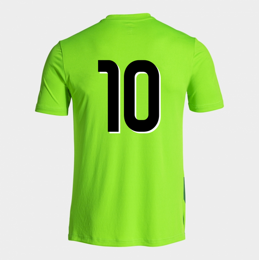 Lewes FC Select U14's Away/Training Shirt Green Junior (Lion 2)